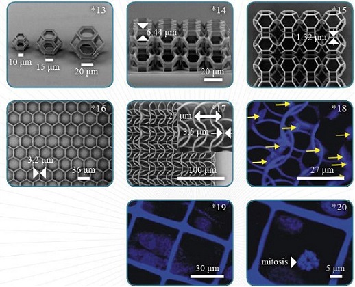 多光子聚合3D纳米光刻机
