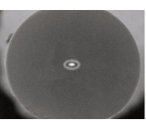 高/低双折射旋转光纤